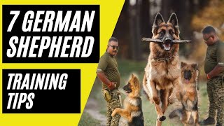 German shepherd fully obedience training 3 month result doglover viralvideo [upl. by Bakki]