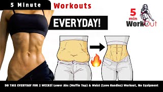 DO THIS EVERYDAY FOR 2 WEEKS Lower Abs Muffin Top amp Waist Love Handles Workout No Equipment [upl. by Irish]