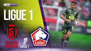 Stade Reims vs Lille  LIGUE 1 HIGHLIGHTS  081724  beIN SPORTS USA [upl. by Jolenta]