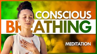 Awaken the Power of Conscious Breathing Meditation A Simple Daily Practice  The Reach Approach [upl. by Nesnej121]