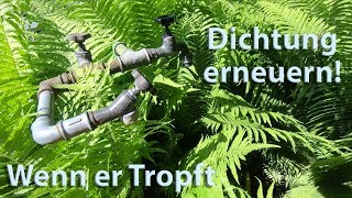 Tropfenden Wasserhahn zur Ruhe bringen Wasserhahn tropft Dichtung reparieren [upl. by Maegan652]