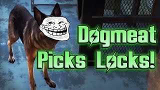 How to use Dogmeat to Pick Locks  Fallout 4 [upl. by Celin]