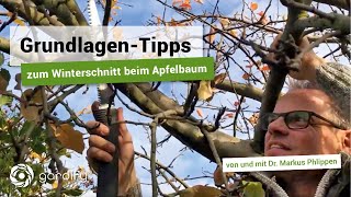 GrundlagenTipps zum Winterschnitt beim Apfelbaum Schritt für Schritt Anleitung  gardify Tipps [upl. by Sewell]