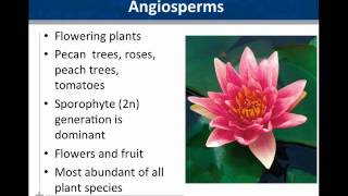 01 Botany Overview [upl. by Roosevelt]