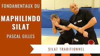 LES BASES DU MAPHILINDO SILAT PASCAL GILLES [upl. by Luoar]