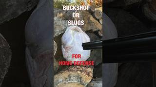 12 Gauge for Home Defense Buckshot or Slugs [upl. by Rome472]