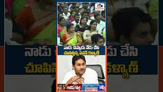 pawankalyan SHOCKING COMMENTS on jagan appolitics apdeputycm janasenaparty ycp viralshorts [upl. by Vergil]