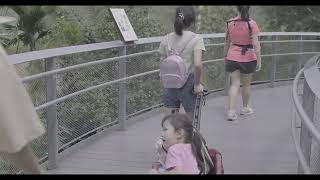 Bird Paradise Singapore  Mandai Wildlife Reserve [upl. by Ainehta]