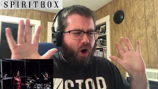 Spiritbox  Rule Of Nines Official Music Video Reaction WOW [upl. by Hyacinthia]