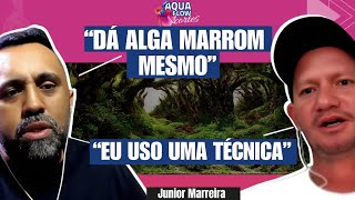 Como Evitar Alga Marrom Em Planta Carpete  Junior Marreira [upl. by Nottage911]