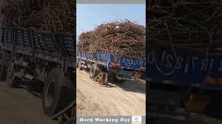 The Process Of Unloading Iron Rod From The Truck [upl. by Goldin]