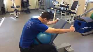 Erector Spinae Exercises [upl. by Nigel]