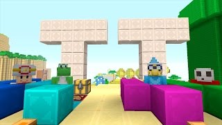 Minecraft Wii U  Super Mario Series  Tripolar Trivia 137 [upl. by Bruell]