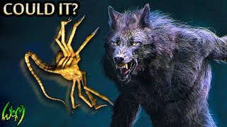 Could a Facehugger Impregnate a Werewolf [upl. by Phaedra]