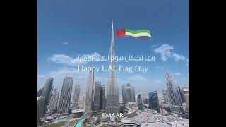 Celebrating UAE Flag Day shorts dubairealestateinvestments emaar dubaihomes luxuryliving uae [upl. by Anerda]