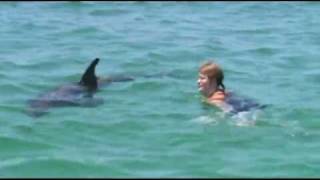 I Got to Swim With a Wild Dolphin [upl. by Ellenahc794]