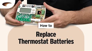 How to Replace Thermostat Batteries [upl. by Doubler329]