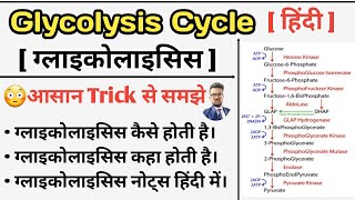 Glycolysis Cycle  Glycolysis Pathway  Carbohydrates Metabolism  Glycolysis in hindi  Glycolysis [upl. by Prosser239]