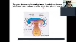 Aula 4 PARTE 5  Revisão de gastrulação neurulação somitogênese e fechamento do embrião [upl. by Higinbotham]