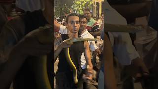 RAT SNAKE RESCUE FROM 40ft snake nature india wildlife [upl. by Atwahs]