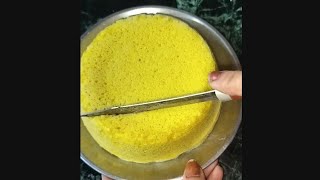 🌺सिर्फ दो चीजों से बनाया टेस्टी 😍Healthy Khaman Dhokla😋 ढोकला बनाने का आसान तरीका💯 [upl. by Gnahk783]