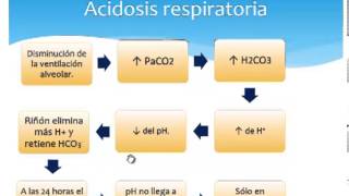 Acidosis y Alcalosis [upl. by Niamjneb]