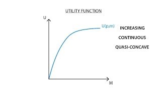 A1 Utility function  Consumption  Microeconomics [upl. by Chitkara]