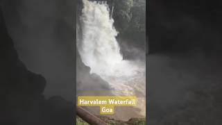 Bestest Harvalem waterfalls Goa😍🌦 goainmonsoon waterfallsingoa waterfall harvalemwaterfall😍🔥🔥 [upl. by Idrahs]