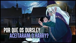 POR QUE OS DURSLEY ACEITARAM O HARRY  PAPOFURADO 1 [upl. by Eselehs149]