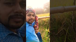 Chori chori mein bhi tooyoutubeshortvideoAgriculter😇😇😇 [upl. by Ahsemal354]