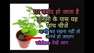 घर हो जाएगा बर्बाद तुलसी के पास 5 चीजें कभी ना रखें अनर्थ हो जाएगा tulsi Plant benefits tulsiplant [upl. by Vladamir]