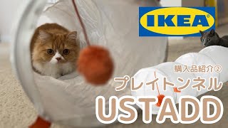 【IKEA購入品紹介②】ねこのトンネルで遊んでもらったらこちらもかわいすぎました IKEA [upl. by Tallula]