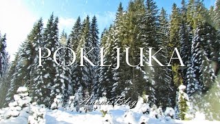 First Time Cross Country Skiing  Pokljuka Slovenia  AnomisBlog [upl. by Aranahs83]