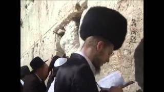 Rachem   Rav Shalom Arush Téchouva [upl. by Tremayne449]