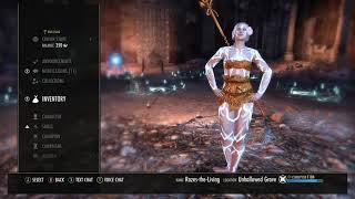 ESO Tanking Guides How to Tank Unhallowed Grave Hard Mode [upl. by Orsini]