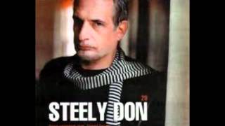 Donald Fagen  Big Noise New Yorkwmv [upl. by Acnoib980]