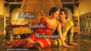 Muzhumadhi Avalathu Mugamaagum  song  BGM version [upl. by Minnnie117]