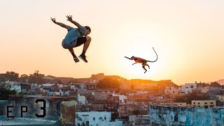 Parkour vs Monkeys 🇮🇳 [upl. by Aneahs]