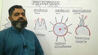 Types of Pseudopodia English medium profmasoodfuzail Pseudopodia  Anatomy of Pseudopodia [upl. by Matthei]