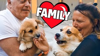 UPSY incontra il resto della FAMIGLIA [upl. by Charity242]