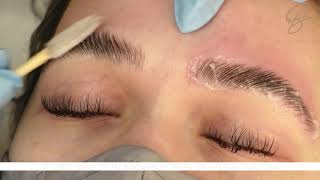 Eyebrow Lamination amp Henna Bee Eyebrow Tint in ONE service [upl. by Patt]