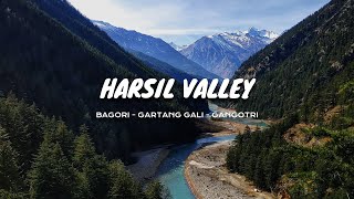 Harsil Valley  Most Beautiful Village of Uttarakhand  Bagori  Gartang Gali  Gangotri  2024 [upl. by Briscoe]