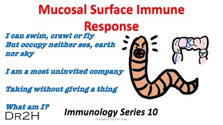 Dr Hongs Immunology Lecture 10 Mucosal Surface Immune Response [upl. by Darryn]