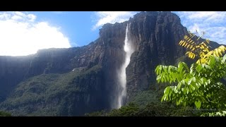 Venezuela  Auyan Tepui Trekking [upl. by Ahsika]