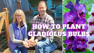 How to Plant Gladiolus Bulbs 🌿💚 [upl. by Angel]