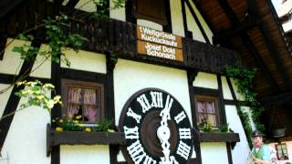 Worlds Largest Cuckoo Clock Schonach [upl. by Yffub279]