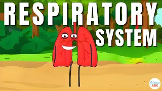 Respiratory System From Inspiration to Expiration Explained in Simple Words [upl. by Acilef242]