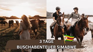 3 TAGE BUSCHABENTEUER SIMBABWE 🇿🇼 🦓 [upl. by Neerhtak]