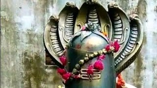 शिव चर्चा भजन ll 🙏❤️🥰🙏 ll trending shortsfeed shortsvideo Shivcharcha shivbhajan2024 vairal [upl. by Jonna]