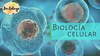 BIOLOGÍA CELULAR Y MOLECULAR  ¿QUE ES LA CÉLULA DOCTOLOGO🥕 [upl. by Parthenia571]